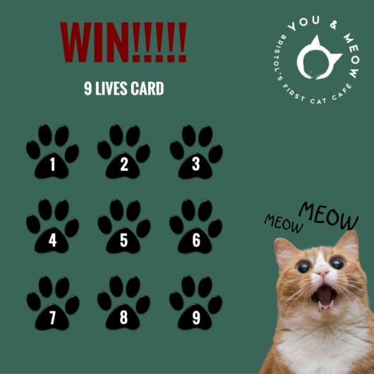 The Deciding Week and chance to win a 9 lives card a The Deciding Week and chance to win a 9 lives card a