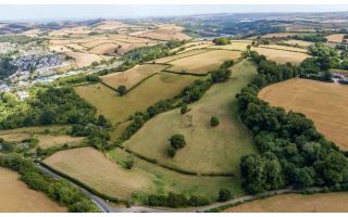 Bowden Pillars Future: A Regenerative Community Project in Totnes