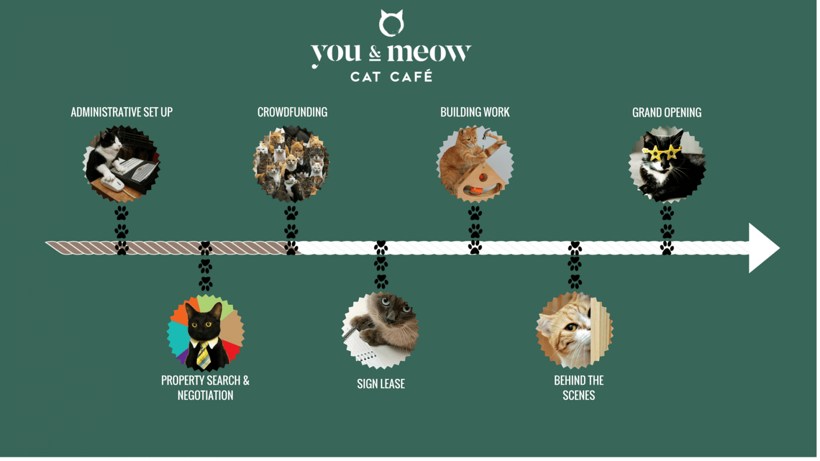  Bristol  s First Cat  Cafe  a crowdfunding project on 